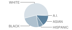 Winterset Elementary School Student Race Distribution