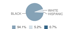 Meadowdale Elementary School Student Race Distribution