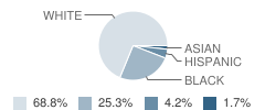 Kemp Elementary School Student Race Distribution