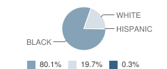 Thomas Jefferson Elementary School Student Race Distribution