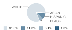 Field Elementary School Student Race Distribution