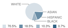 Atkinson Elementary School Student Race Distribution