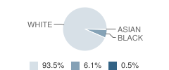 Whitwell Elementary School Student Race Distribution
