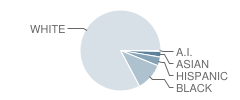 J F Kennedy Elementary School Student Race Distribution