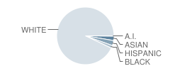 Madeira High School Student Race Distribution