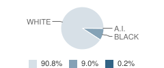 Elm Middle School Student Race Distribution