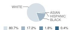 Central Academy Nongraded Elementary School Student Race Distribution