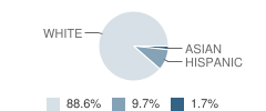 C D Brillhart Elementary School Student Race Distribution