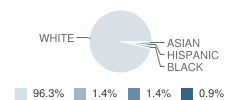 South Elementary School Student Race Distribution