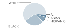 Langston Middle School Student Race Distribution