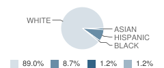 Starr Elementary School Student Race Distribution