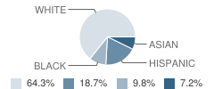 Stewart Elementary School Student Race Distribution