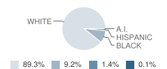 Ravenna High School Student Race Distribution