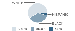 Adams Junior High School Student Race Distribution