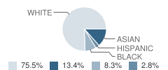 Edwin H Greene Intermediate Middle School Student Race Distribution