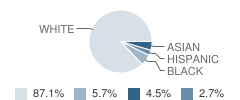 Sylvan Elementary School Student Race Distribution