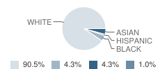 Sylvania Mccord Junior High School Student Race Distribution