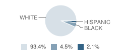 Lincoln Elementary School Student Race Distribution