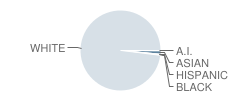 Barrington Road Elementary School Student Race Distribution