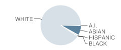 Hastings Middle School Student Race Distribution