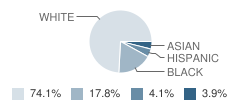 Mark Twain Elementary School Student Race Distribution