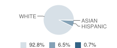 Richmond Elementary School Student Race Distribution