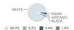 Elm Avenue Elementary School Student Race Distribution