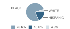 North Elementary School Student Race Distribution