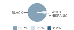 Odyssey: School of Possibilities Student Race Distribution