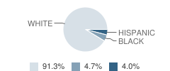 Fairport Harding High School Student Race Distribution