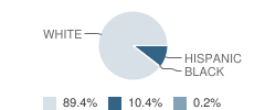 James J Hilfiker Elementary School Student Race Distribution