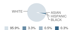 Broadway Elementary School Student Race Distribution