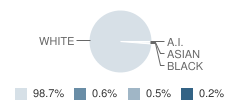 St Clairsville Elementary School Student Race Distribution
