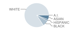 Fairfield North Elementary School Student Race Distribution