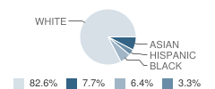 Hopewell Elementary School Student Race Distribution