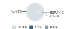 Northeastern High School Student Race Distribution