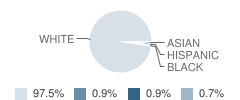 Holly Hill Elementary School Student Race Distribution