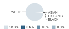 River View Middle School Student Race Distribution