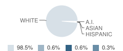 Harrison Street Elementary School Student Race Distribution