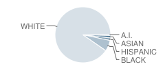 Perkins Middle School Student Race Distribution