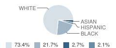 Gahanna South Middle School Student Race Distribution