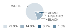 Blacklick Elementary School Student Race Distribution