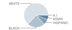 Goshen Lane Elementary School Student Race Distribution