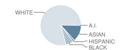 New Albany Elementary School Student Race Distribution