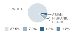 J W Reason Elementary School Student Race Distribution