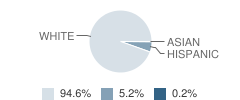 Evergreen Elementary School Student Race Distribution