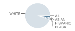 Nagel Middle School Student Race Distribution