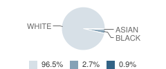 Bantam Ridge Elementary School Student Race Distribution