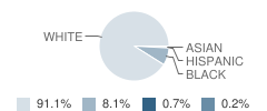 Burlington Elementary School Student Race Distribution