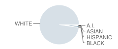 Indian Lake Middle School Student Race Distribution